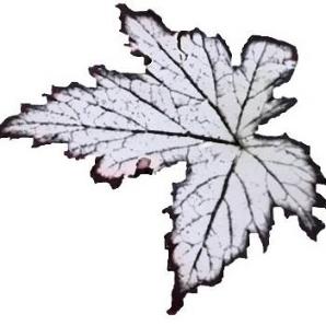 Eriksbo plantskola AB